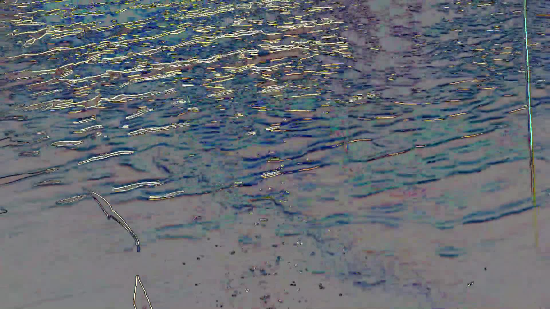 Thumbnail image for MassArt - SIM TV