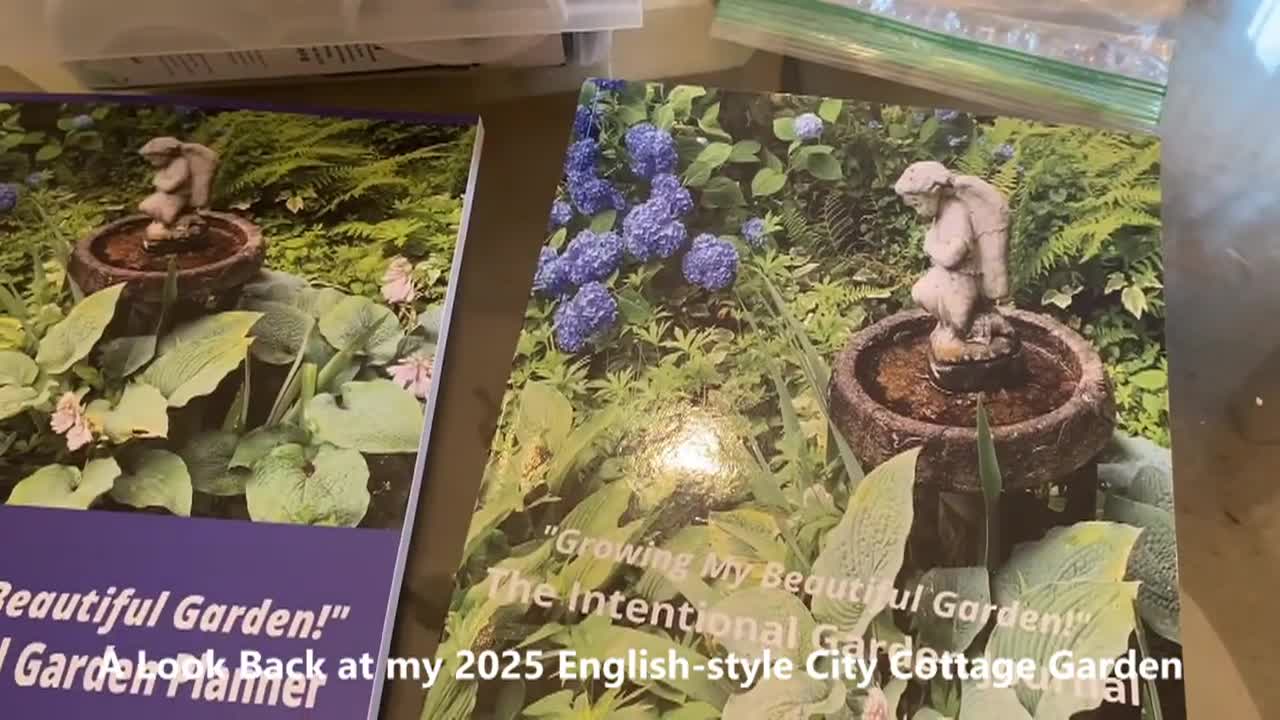 Thumbnail image for Lady Wisdom Speaks!