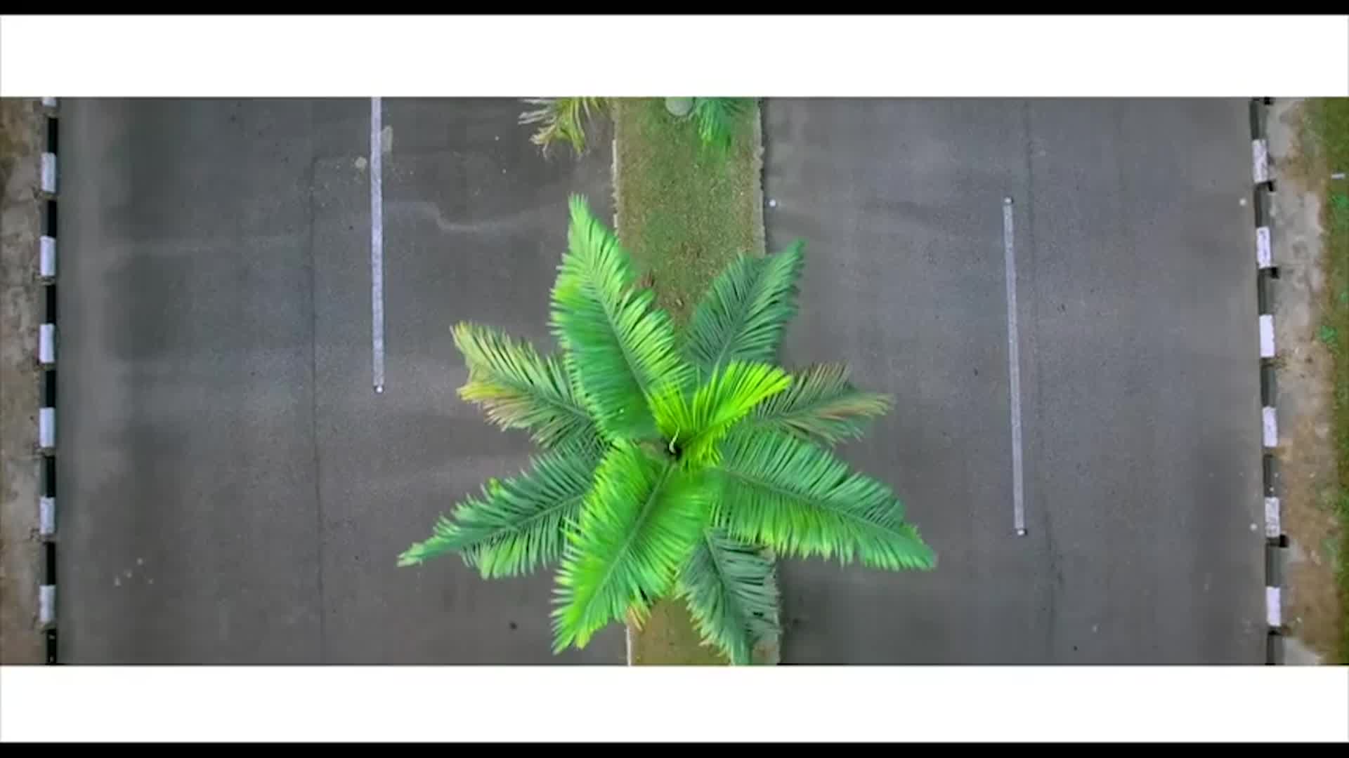 Tele Soleil de Boston