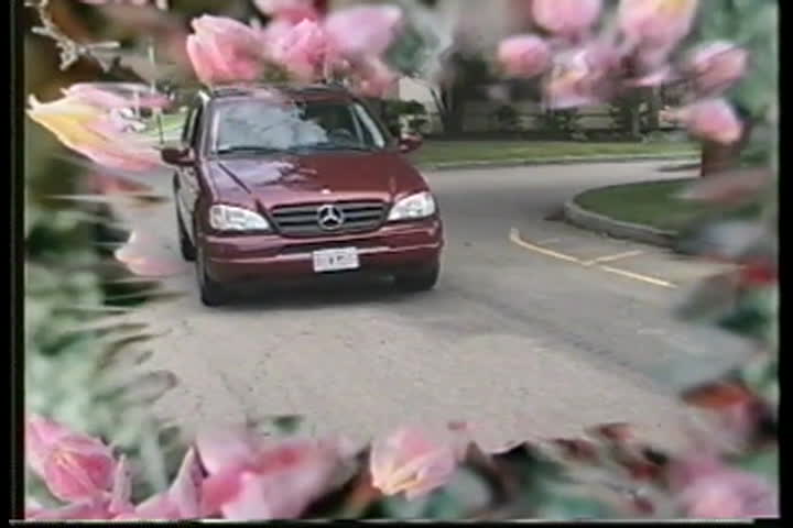 Thumbnail image for Tele Fleur Creole